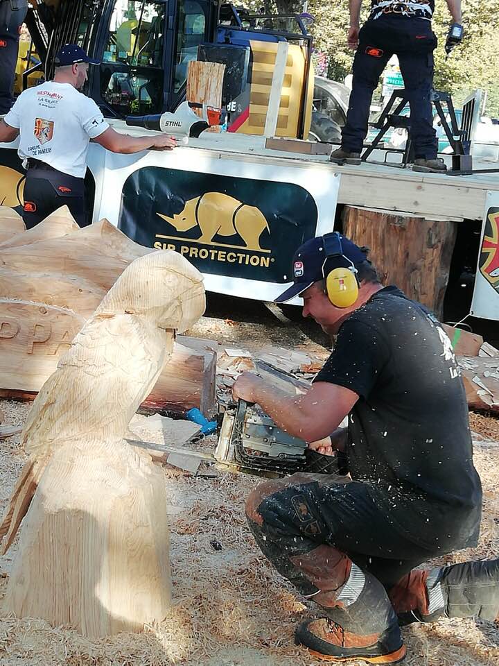 démonstration de sculture sur tronc, démonstration de sculture sur arbre