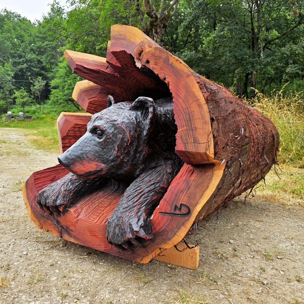 528594273_24836236652635760_9165627507606046776_n